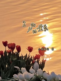斗龙：夕阳的黄昏
