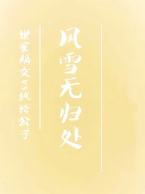 风雪无归处