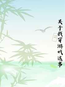 關(guān)于我穿游戲這事