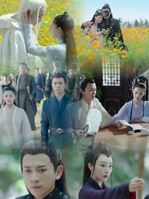 棠夏秋月之落花无情
