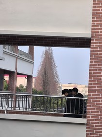 他他他怎么这样