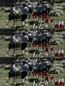 TF三代：月下組織