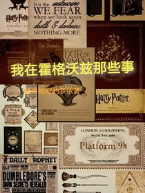 我在霍格沃兹那些事（偏日记）