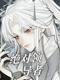 绝对领导者