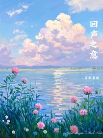 回声之意
