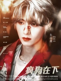 TOP：疯狗在下