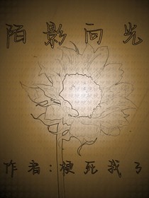 陌影向光