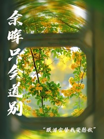 余晖只会道别