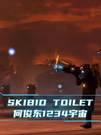 斯基比迪：何俊东1234宇宙