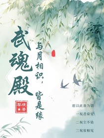 武魂殿：与月相识，皆是缘