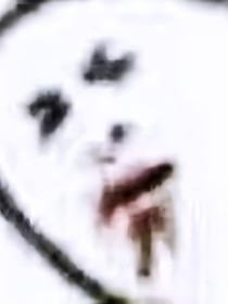 我名克莱恩