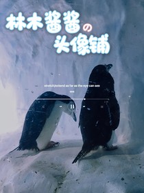 林木酱酱的头像铺