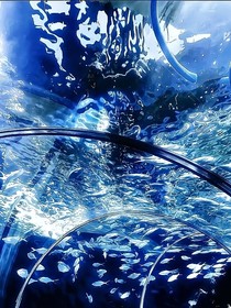 水中缘