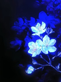 不一样的故事线