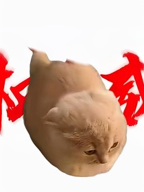 十万个为什