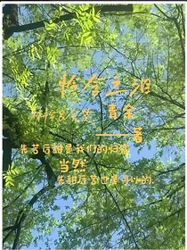 怜含之泪——非
