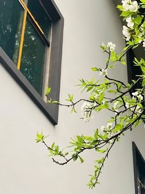 因为柠檬水在一起