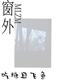 窗外MLZM