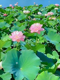 守护婴一世欢乐