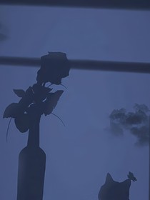 愛(ài)在初夏的微風(fēng)中