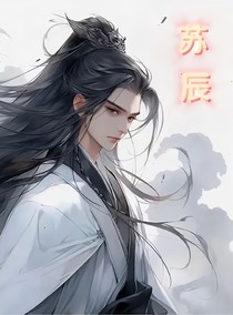 苏辰无敌记