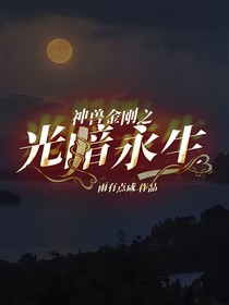 神兽金刚之光暗永生续写