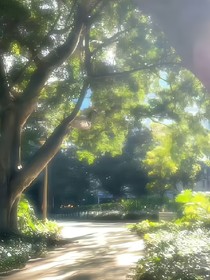 止于那年夏