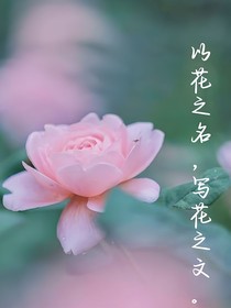 以花之名，写花之文