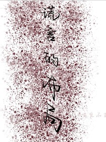 谎言的布局-d216