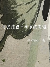 月光落进十七岁的裂缝