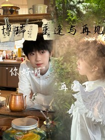 博瑞：重逢与再见