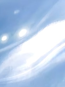 陪枳