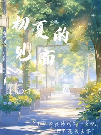 初夏的见面