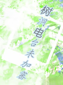 樹(shù)洞電臺(tái)未加密