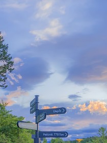 迷雾追踪……