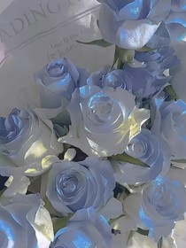 她似繁星落西洲