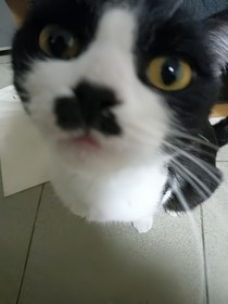 原来是伱