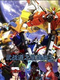 武战道之星魂战王