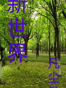 新世界一一凡尘录