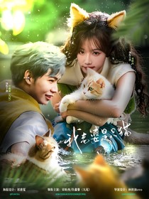 许鑫蓁：我老婆是只猫