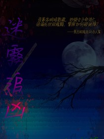 迷雾追凶记