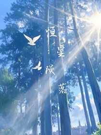恒星陨落