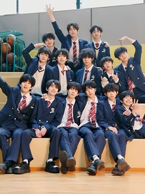 来年也见不到白山茶