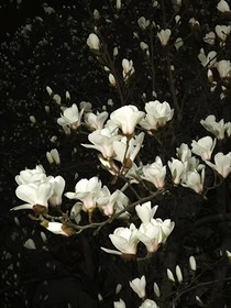 幸虧……