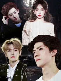 EXO：大小姐訓狗法則