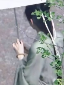 莲花楼：莫明穿越