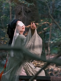 弃疾去病且辞忧