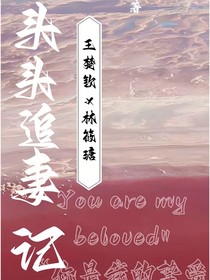 头头追妻记