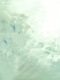 蝶青……