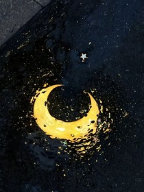 宝可梦病毒穿越